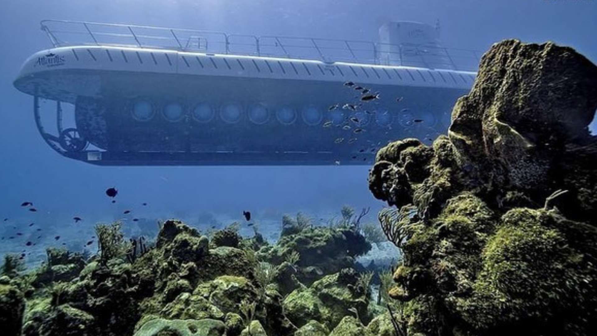 atlantis submarine tour cozumel
